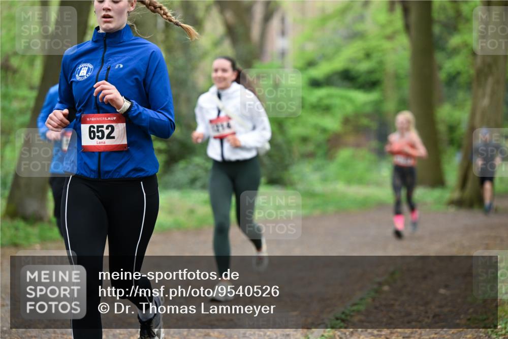 19.04.2026 - Hammer Lauf Dr. Thomas Lammeyer http://msf.ph/oto/9540526 19.04.2026 10:43:31 Laufen 652 meine-sportfotos.de