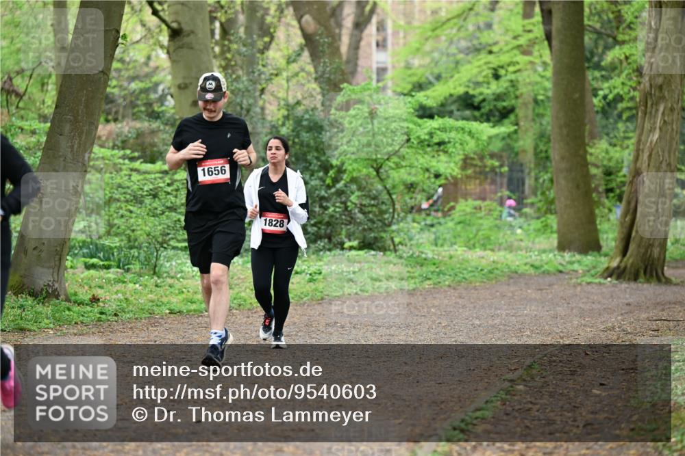19.04.2026 - Hammer Lauf Dr. Thomas Lammeyer http://msf.ph/oto/9540603 19.04.2026 10:43:39 Laufen 1656, 1828 meine-sportfotos.de