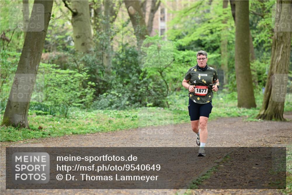 19.04.2026 - Hammer Lauf Dr. Thomas Lammeyer http://msf.ph/oto/9540649 19.04.2026 10:43:54 Laufen 1877 meine-sportfotos.de