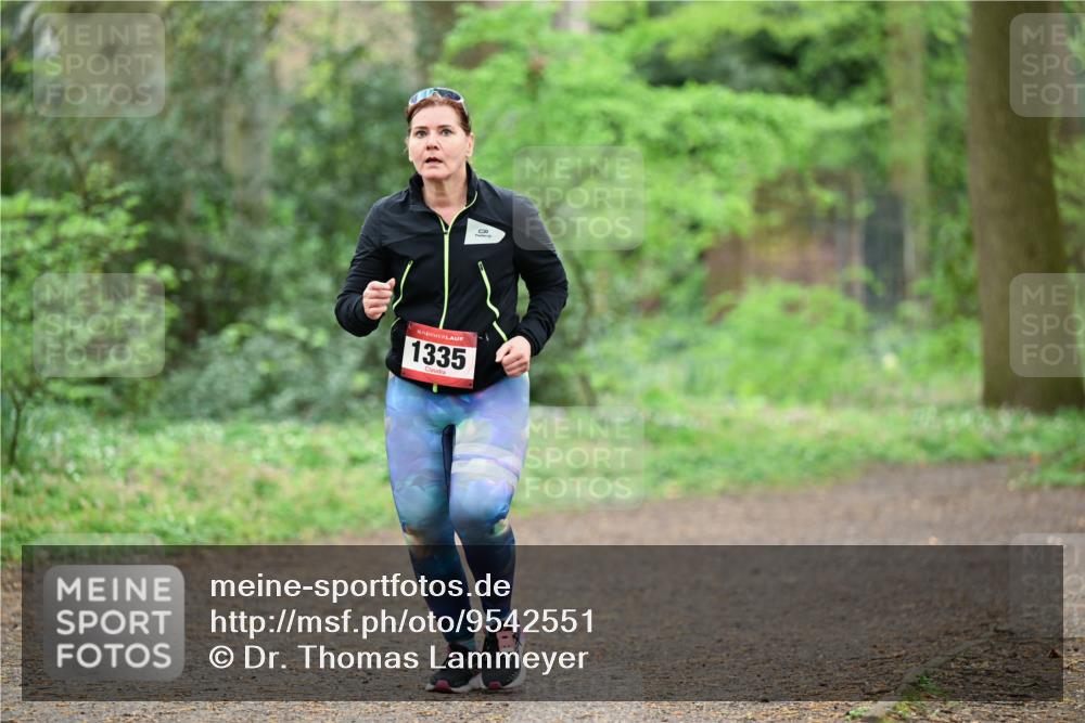 19.04.2026 - Hammer Lauf Dr. Thomas Lammeyer http://msf.ph/oto/9542551 19.04.2026 10:53:55 Laufen 1335 meine-sportfotos.de
