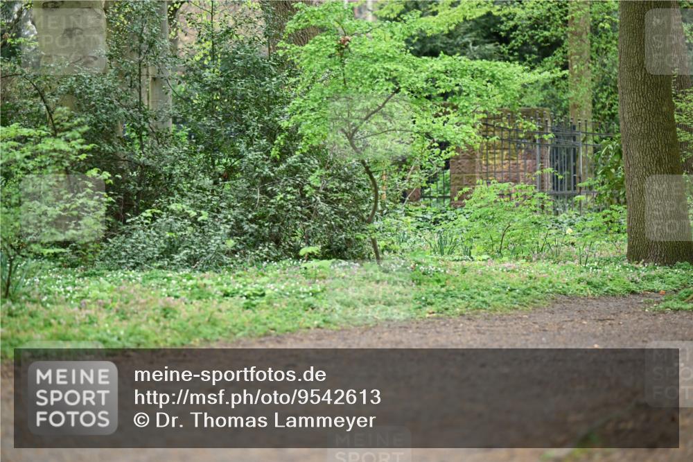 19.04.2026 - Hammer Lauf Dr. Thomas Lammeyer http://msf.ph/oto/9542613 19.04.2026 10:54:26 Laufen  meine-sportfotos.de