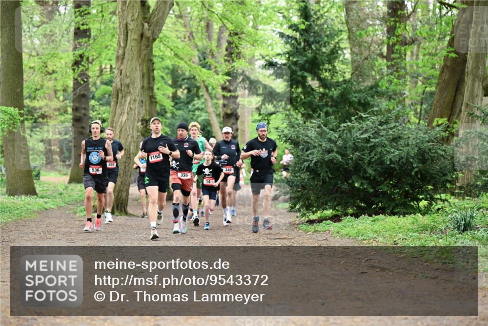 19.04.2026 - Hammer Lauf Dr. Thomas Lammeyer http://msf.ph/oto/9543372 19.04.2026 11:02:45 Laufen 1165, 335 meine-sportfotos.de