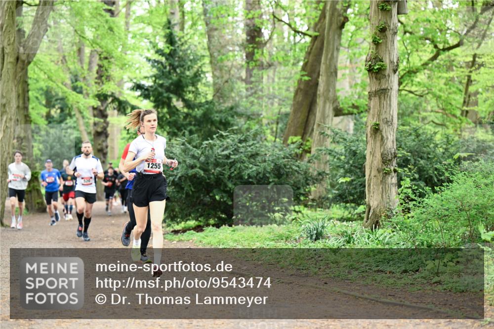 19.04.2026 - Hammer Lauf Dr. Thomas Lammeyer http://msf.ph/oto/9543474 19.04.2026 11:02:58 Laufen 520, 1255 meine-sportfotos.de