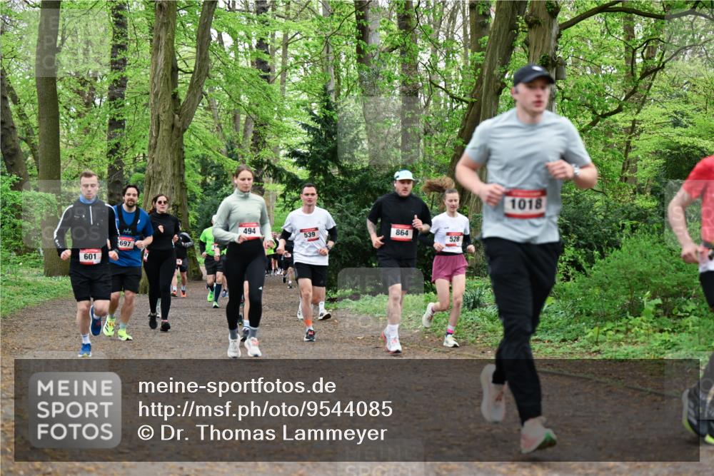 19.04.2026 - Hammer Lauf Dr. Thomas Lammeyer http://msf.ph/oto/9544085 19.04.2026 11:04:09 Laufen 494, 539, 864, 697, 528, 601, 1018 meine-sportfotos.de