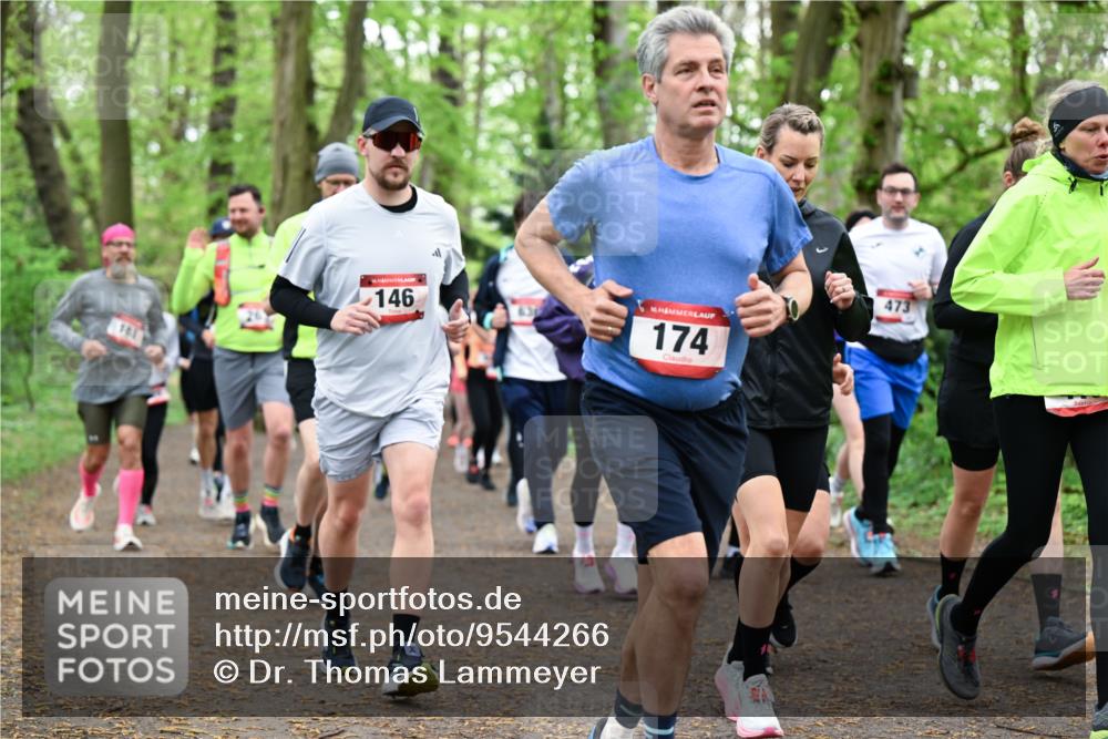 19.04.2026 - Hammer Lauf Dr. Thomas Lammeyer http://msf.ph/oto/9544266 19.04.2026 11:04:29 Laufen 146, 174, 473 meine-sportfotos.de