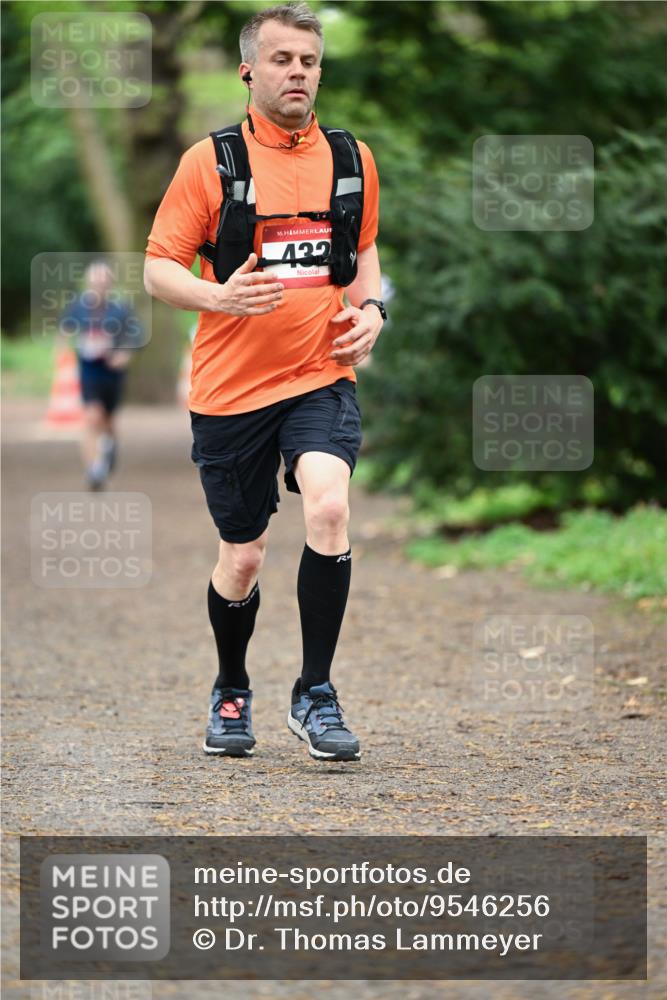 19.04.2026 - Hammer Lauf Dr. Thomas Lammeyer http://msf.ph/oto/9546256 19.04.2026 11:28:17 Laufen 432 meine-sportfotos.de