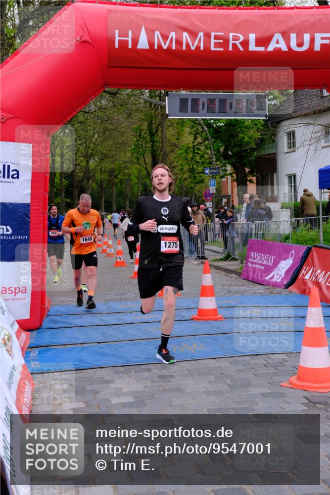 19.04.2026 - Hammer Lauf Tim E. http://msf.ph/oto/9547001 19.04.2026 12:41:49 Ziel 154, 212, 262, 418, 518, 697, 1275, 1591, 1592, 1649 meine-sportfotos.de