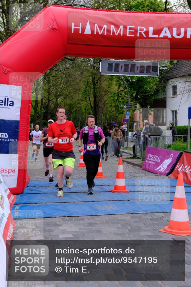 19.04.2026 - Hammer Lauf Tim E. http://msf.ph/oto/9547195 19.04.2026 12:44:32 Ziel 202, 383, 444, 988, 1089, 1123, 1167, 1319, 1579, 1931 meine-sportfotos.de