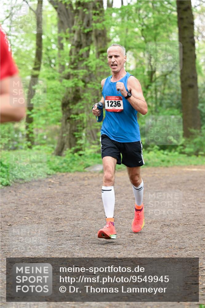 19.04.2026 - Hammer Lauf Dr. Thomas Lammeyer http://msf.ph/oto/9549945 19.04.2026 11:43:35 Laufen 1236 meine-sportfotos.de