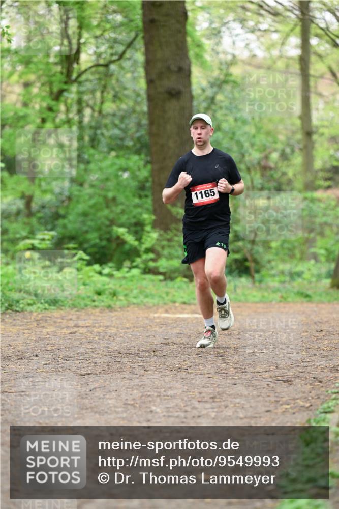 19.04.2026 - Hammer Lauf Dr. Thomas Lammeyer http://msf.ph/oto/9549993 19.04.2026 11:44:19 Laufen 1165 meine-sportfotos.de