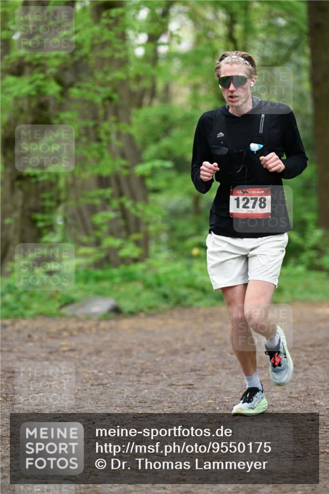 19.04.2026 - Hammer Lauf Dr. Thomas Lammeyer http://msf.ph/oto/9550175 19.04.2026 11:47:19 Laufen 1278 meine-sportfotos.de
