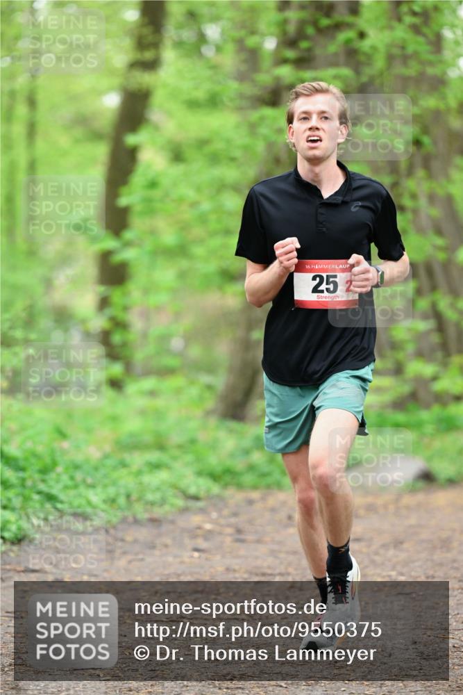 19.04.2026 - Hammer Lauf Dr. Thomas Lammeyer http://msf.ph/oto/9550375 19.04.2026 11:49:20 Laufen  meine-sportfotos.de