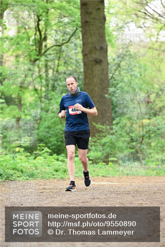 19.04.2026 - Hammer Lauf Dr. Thomas Lammeyer http://msf.ph/oto/9550890 19.04.2026 11:53:30 Laufen 460 meine-sportfotos.de
