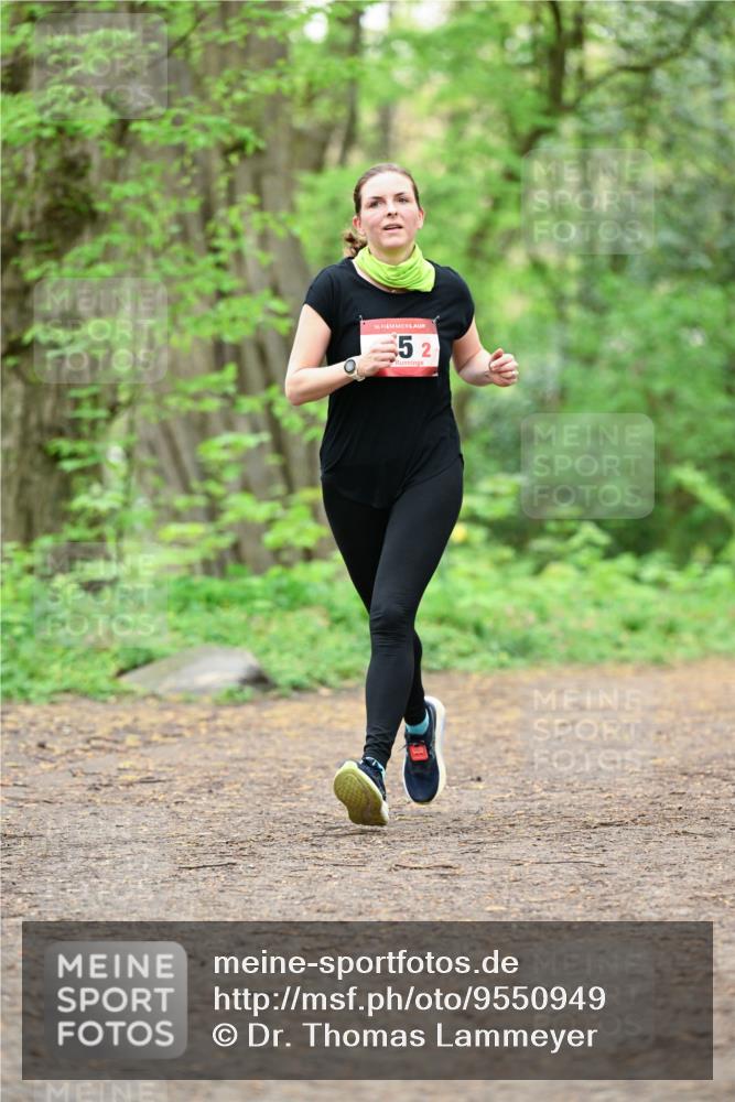 19.04.2026 - Hammer Lauf Dr. Thomas Lammeyer http://msf.ph/oto/9550949 19.04.2026 11:54:03 Laufen  meine-sportfotos.de