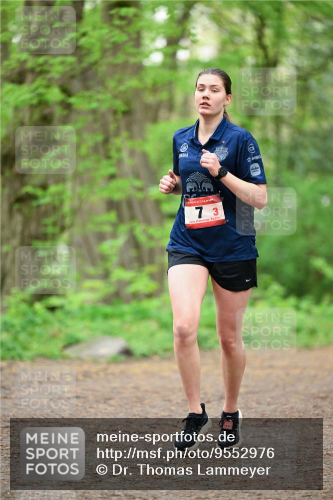 19.04.2026 - Hammer Lauf Dr. Thomas Lammeyer http://msf.ph/oto/9552976 19.04.2026 12:13:51 Laufen  meine-sportfotos.de
