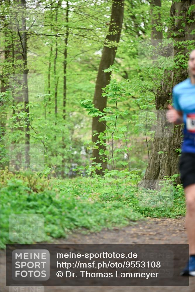 19.04.2026 - Hammer Lauf Dr. Thomas Lammeyer http://msf.ph/oto/9553108 19.04.2026 12:14:56 Laufen  meine-sportfotos.de