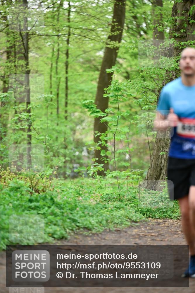 19.04.2026 - Hammer Lauf Dr. Thomas Lammeyer http://msf.ph/oto/9553109 19.04.2026 12:14:56 Laufen  meine-sportfotos.de