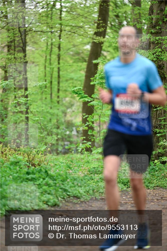 19.04.2026 - Hammer Lauf Dr. Thomas Lammeyer http://msf.ph/oto/9553113 19.04.2026 12:14:56 Laufen  meine-sportfotos.de