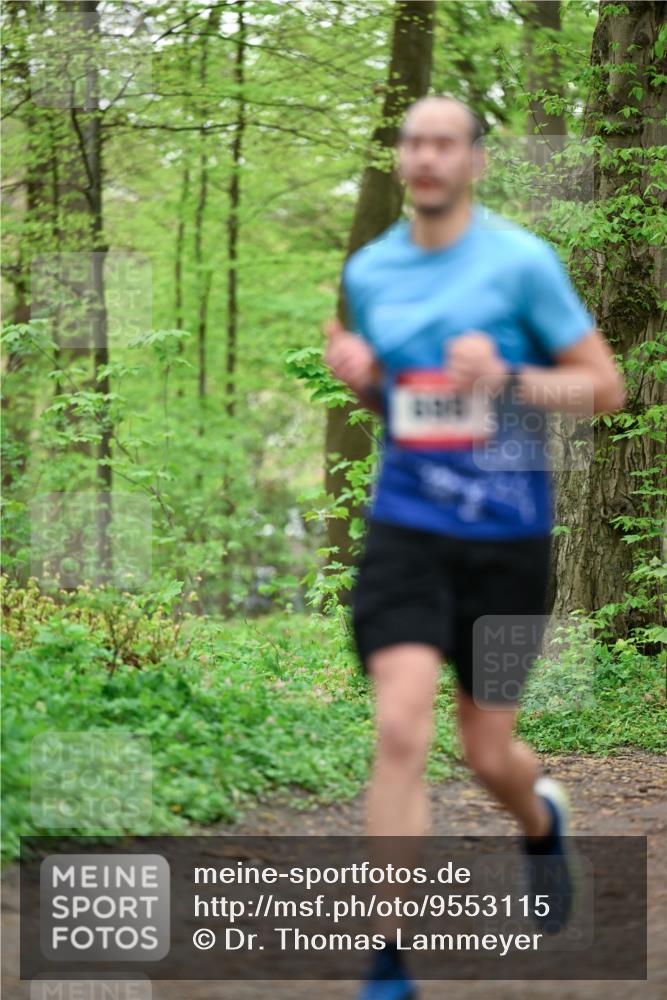 19.04.2026 - Hammer Lauf Dr. Thomas Lammeyer http://msf.ph/oto/9553115 19.04.2026 12:14:56 Laufen  meine-sportfotos.de
