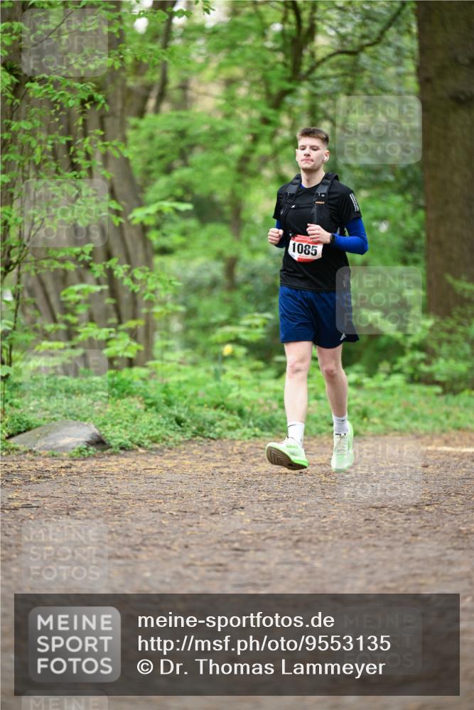 19.04.2026 - Hammer Lauf Dr. Thomas Lammeyer http://msf.ph/oto/9553135 19.04.2026 12:15:13 Laufen 1085 meine-sportfotos.de