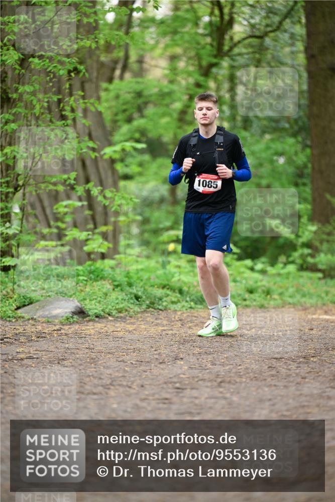 19.04.2026 - Hammer Lauf Dr. Thomas Lammeyer http://msf.ph/oto/9553136 19.04.2026 12:15:13 Laufen 1085 meine-sportfotos.de