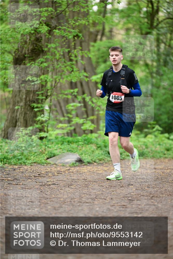 19.04.2026 - Hammer Lauf Dr. Thomas Lammeyer http://msf.ph/oto/9553142 19.04.2026 12:15:14 Laufen 1085 meine-sportfotos.de