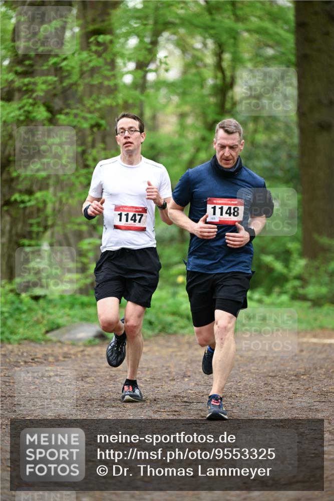 19.04.2026 - Hammer Lauf Dr. Thomas Lammeyer http://msf.ph/oto/9553325 19.04.2026 12:17:44 Laufen 1147, 1148, 165 meine-sportfotos.de