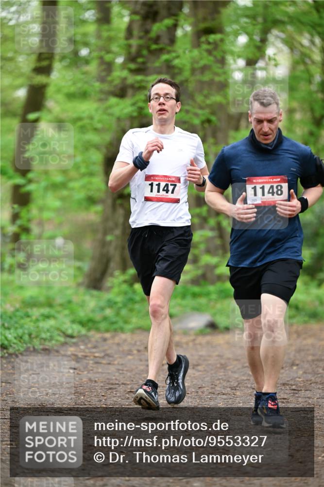 19.04.2026 - Hammer Lauf Dr. Thomas Lammeyer http://msf.ph/oto/9553327 19.04.2026 12:17:44 Laufen 1147, 1148, 165 meine-sportfotos.de