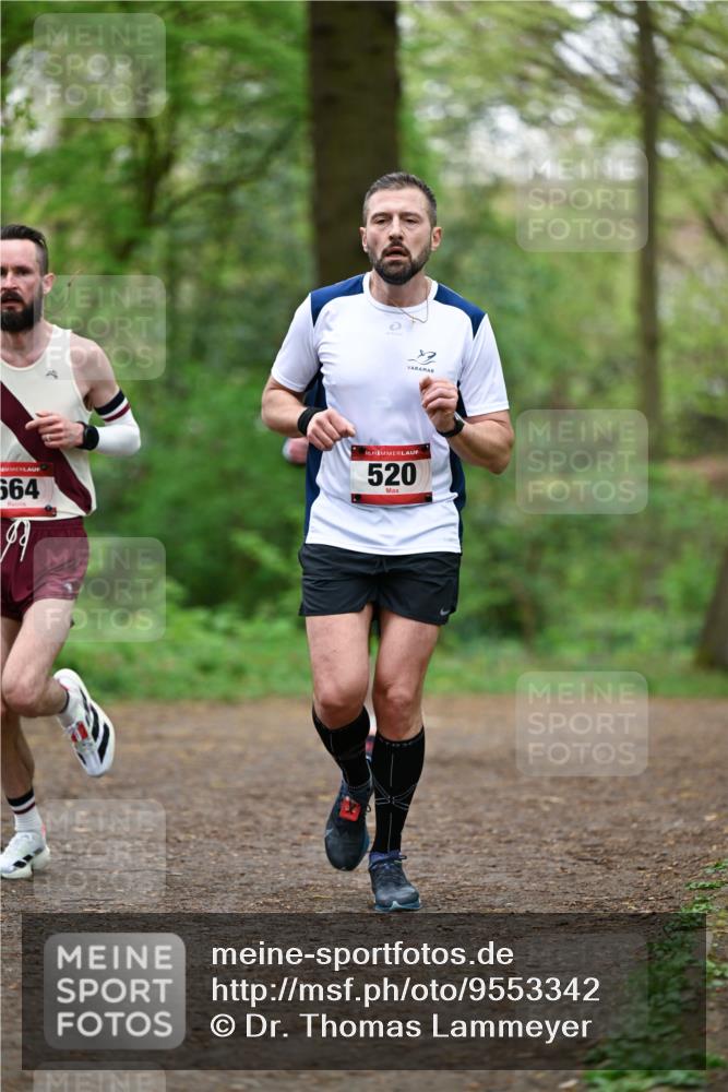 19.04.2026 - Hammer Lauf Dr. Thomas Lammeyer http://msf.ph/oto/9553342 19.04.2026 12:18:06 Laufen 564, 520 meine-sportfotos.de