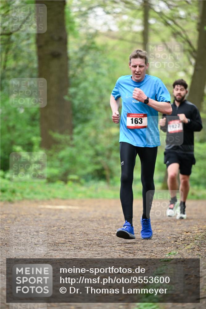 19.04.2026 - Hammer Lauf Dr. Thomas Lammeyer http://msf.ph/oto/9553600 19.04.2026 12:22:18 Laufen 163 meine-sportfotos.de