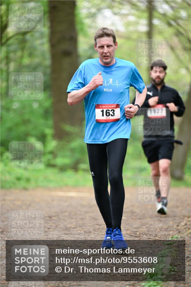 19.04.2026 - Hammer Lauf Dr. Thomas Lammeyer http://msf.ph/oto/9553608 19.04.2026 12:22:20 Laufen 163, 1927 meine-sportfotos.de