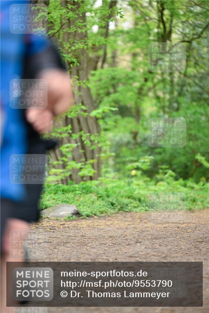 19.04.2026 - Hammer Lauf Dr. Thomas Lammeyer http://msf.ph/oto/9553790 19.04.2026 12:25:04 Laufen  meine-sportfotos.de