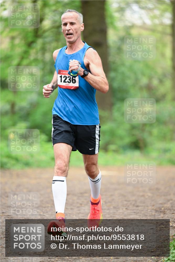 19.04.2026 - Hammer Lauf Dr. Thomas Lammeyer http://msf.ph/oto/9553818 19.04.2026 12:25:28 Laufen 1236 meine-sportfotos.de