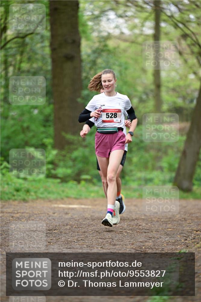 19.04.2026 - Hammer Lauf Dr. Thomas Lammeyer http://msf.ph/oto/9553827 19.04.2026 12:26:03 Laufen 528, 203 meine-sportfotos.de