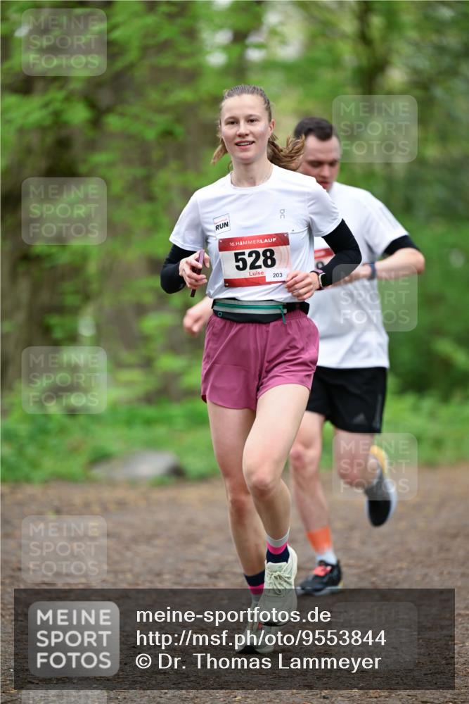 19.04.2026 - Hammer Lauf Dr. Thomas Lammeyer http://msf.ph/oto/9553844 19.04.2026 12:26:06 Laufen 528, 203 meine-sportfotos.de
