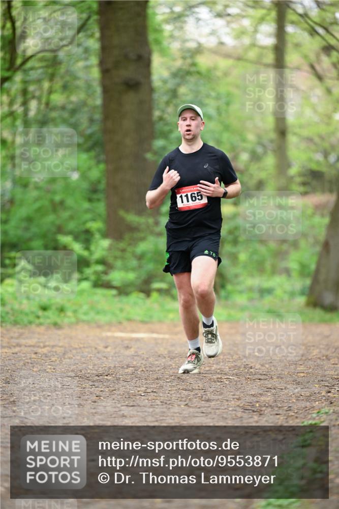 19.04.2026 - Hammer Lauf Dr. Thomas Lammeyer http://msf.ph/oto/9553871 19.04.2026 12:26:22 Laufen 1165 meine-sportfotos.de