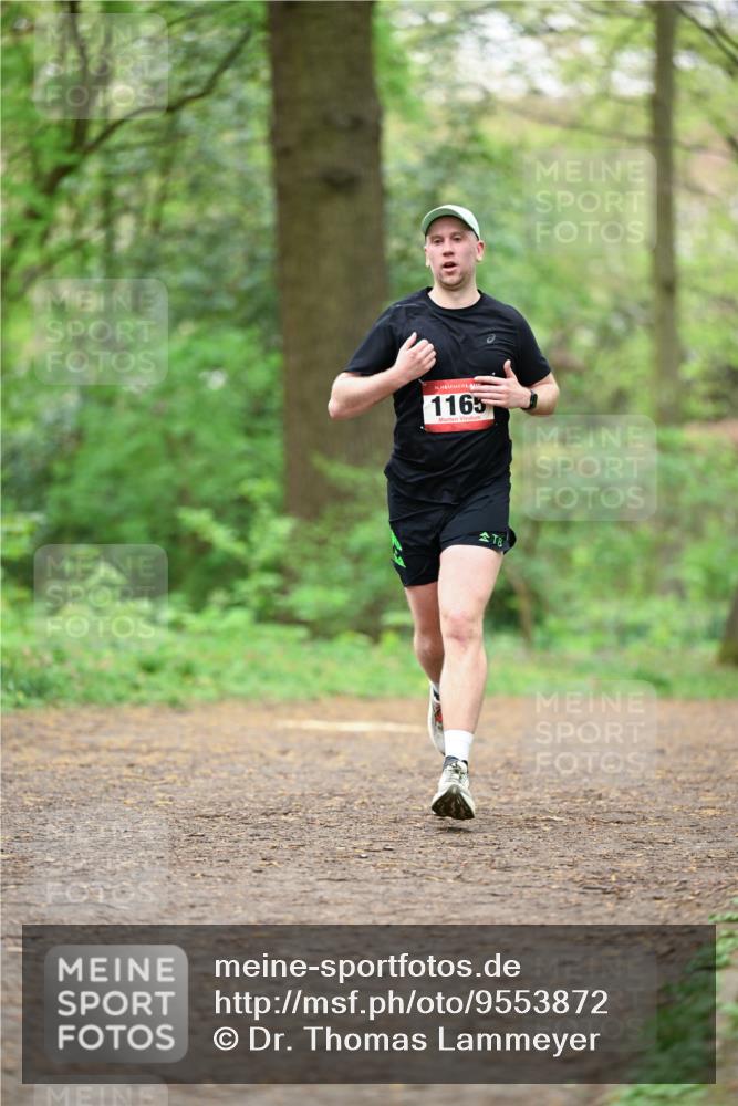 19.04.2026 - Hammer Lauf Dr. Thomas Lammeyer http://msf.ph/oto/9553872 19.04.2026 12:26:22 Laufen 1165 meine-sportfotos.de
