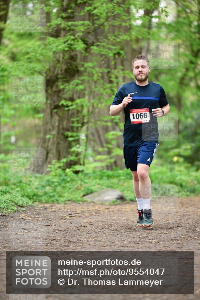 19.04.2026 - Hammer Lauf Dr. Thomas Lammeyer http://msf.ph/oto/9554047 19.04.2026 12:28:08 Laufen 1066, 176 meine-sportfotos.de