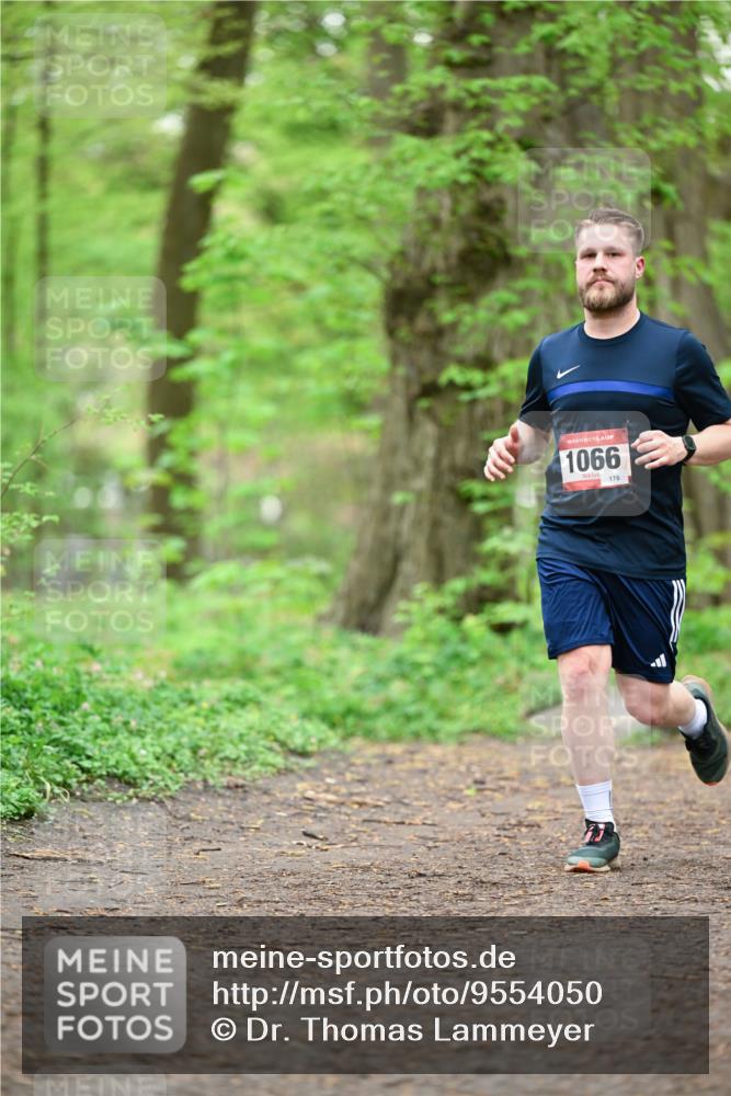 19.04.2026 - Hammer Lauf Dr. Thomas Lammeyer http://msf.ph/oto/9554050 19.04.2026 12:28:09 Laufen 1066, 176 meine-sportfotos.de