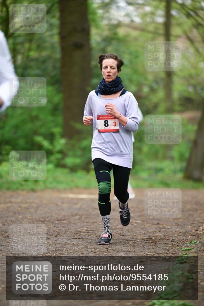 19.04.2026 - Hammer Lauf Dr. Thomas Lammeyer http://msf.ph/oto/9554185 19.04.2026 12:28:59 Laufen  meine-sportfotos.de