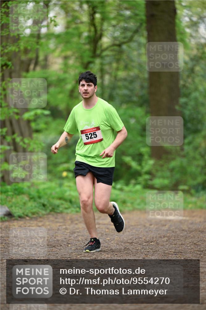 19.04.2026 - Hammer Lauf Dr. Thomas Lammeyer http://msf.ph/oto/9554270 19.04.2026 12:29:48 Laufen 525 meine-sportfotos.de