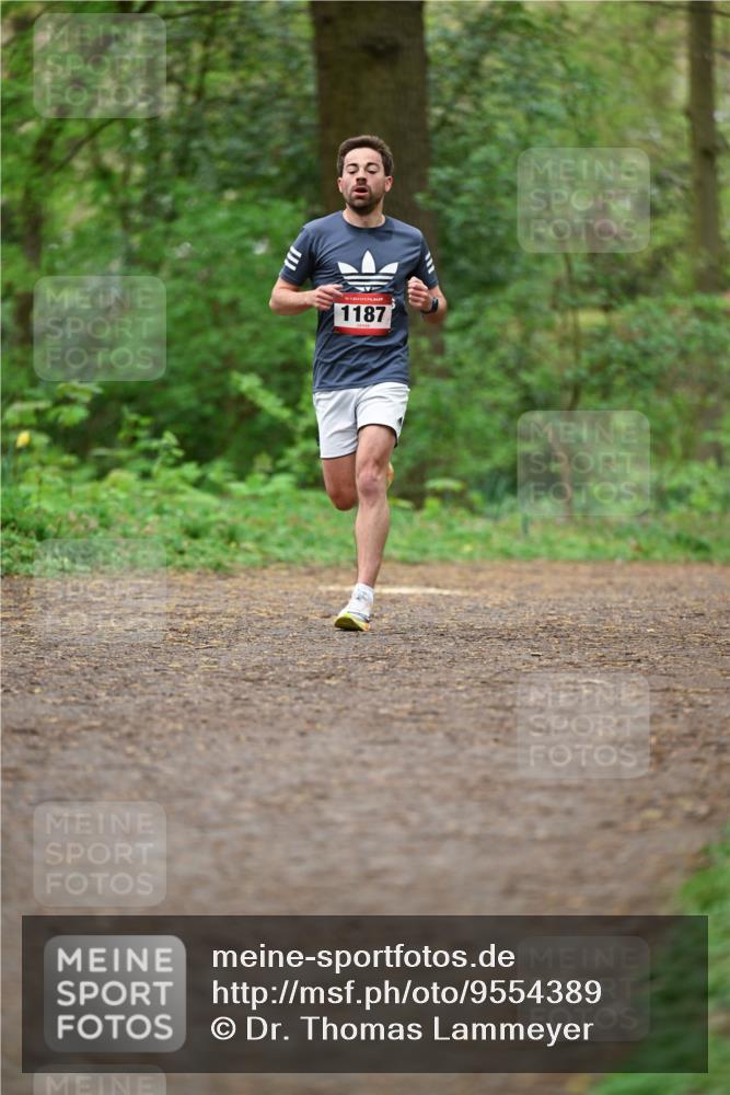 19.04.2026 - Hammer Lauf Dr. Thomas Lammeyer http://msf.ph/oto/9554389 19.04.2026 12:30:54 Laufen 1187 meine-sportfotos.de
