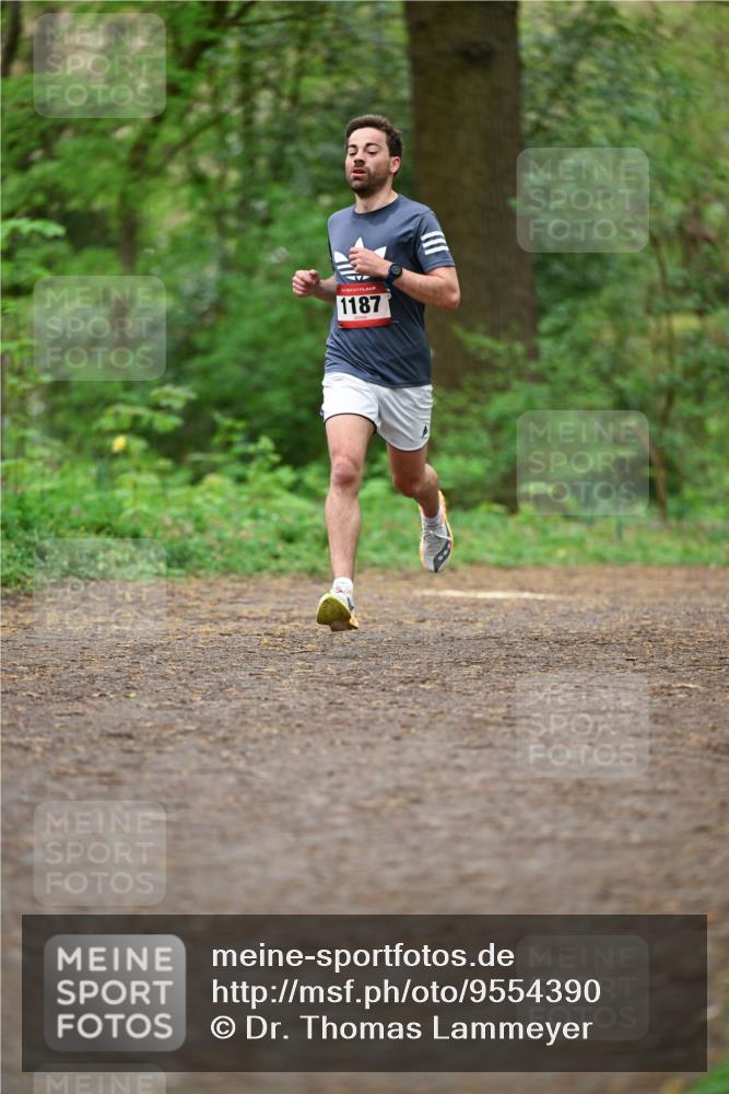 19.04.2026 - Hammer Lauf Dr. Thomas Lammeyer http://msf.ph/oto/9554390 19.04.2026 12:30:55 Laufen 1187 meine-sportfotos.de