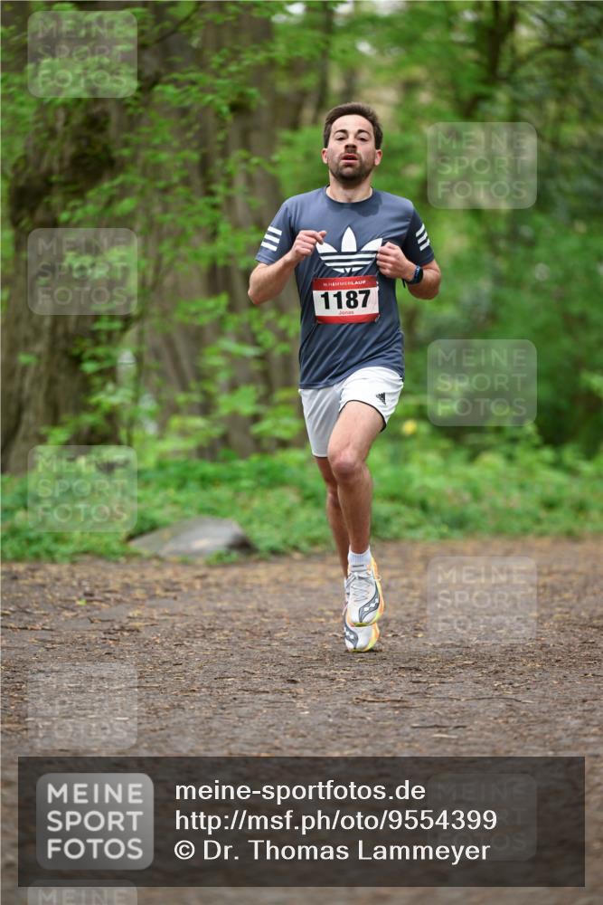 19.04.2026 - Hammer Lauf Dr. Thomas Lammeyer http://msf.ph/oto/9554399 19.04.2026 12:30:55 Laufen 1187 meine-sportfotos.de