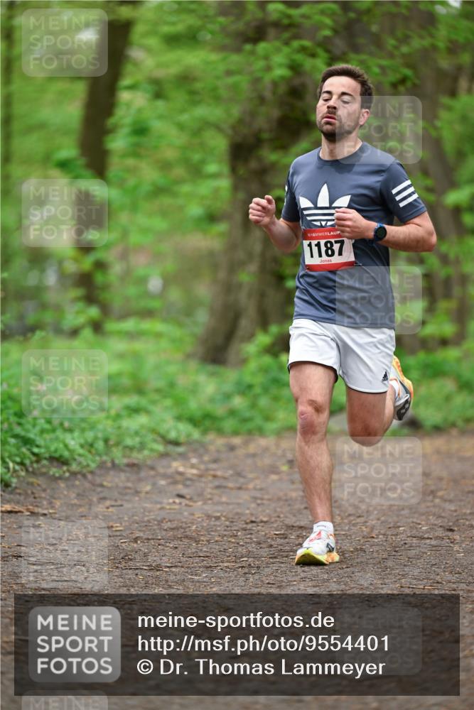 19.04.2026 - Hammer Lauf Dr. Thomas Lammeyer http://msf.ph/oto/9554401 19.04.2026 12:30:56 Laufen 1187 meine-sportfotos.de