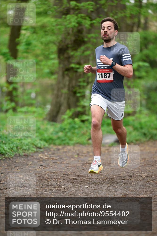 19.04.2026 - Hammer Lauf Dr. Thomas Lammeyer http://msf.ph/oto/9554402 19.04.2026 12:30:56 Laufen 1187 meine-sportfotos.de