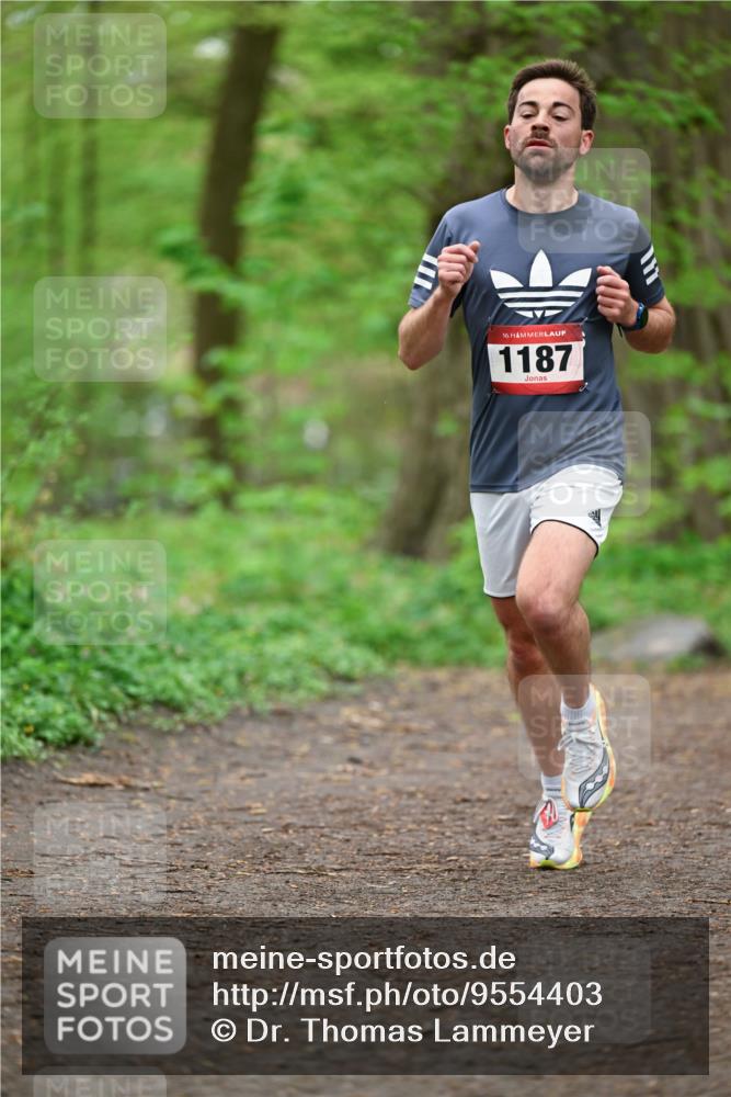 19.04.2026 - Hammer Lauf Dr. Thomas Lammeyer http://msf.ph/oto/9554403 19.04.2026 12:30:56 Laufen 1187 meine-sportfotos.de