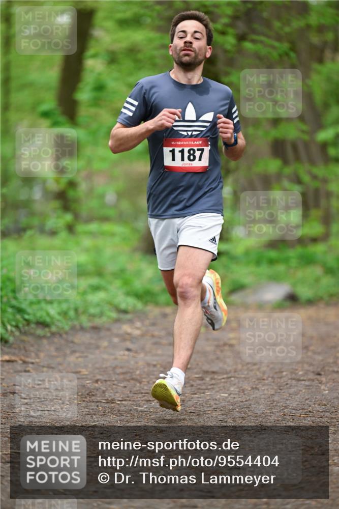 19.04.2026 - Hammer Lauf Dr. Thomas Lammeyer http://msf.ph/oto/9554404 19.04.2026 12:30:56 Laufen 1187 meine-sportfotos.de