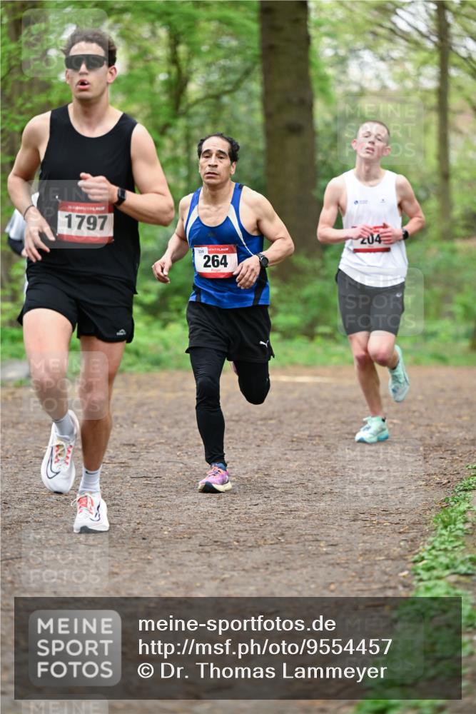 19.04.2026 - Hammer Lauf Dr. Thomas Lammeyer http://msf.ph/oto/9554457 19.04.2026 12:31:31 Laufen 1797, 238, 264, 204 meine-sportfotos.de