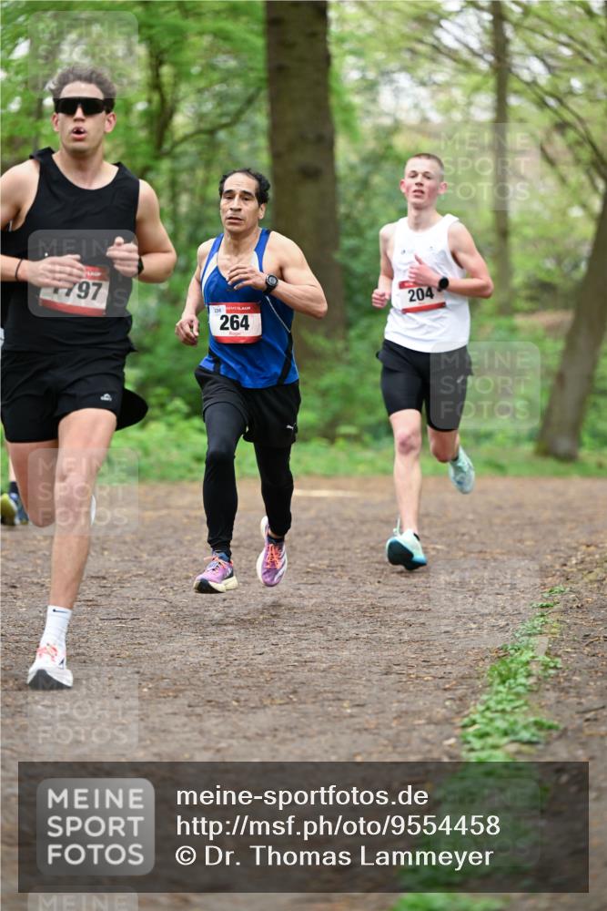 19.04.2026 - Hammer Lauf Dr. Thomas Lammeyer http://msf.ph/oto/9554458 19.04.2026 12:31:31 Laufen 797, 238, 264, 204 meine-sportfotos.de